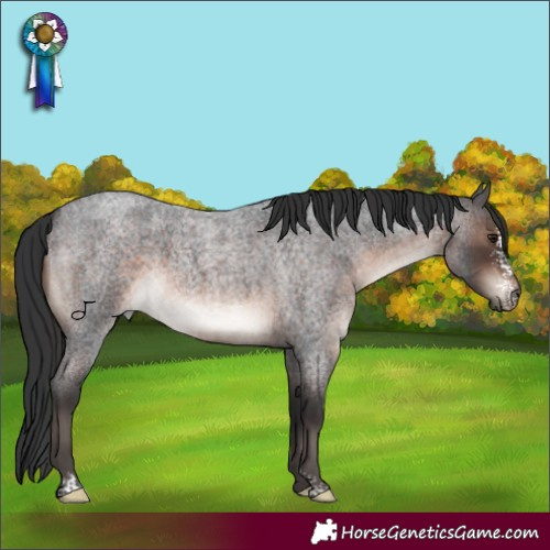 Horse Color:Brown Roan Mushroom Sabino 