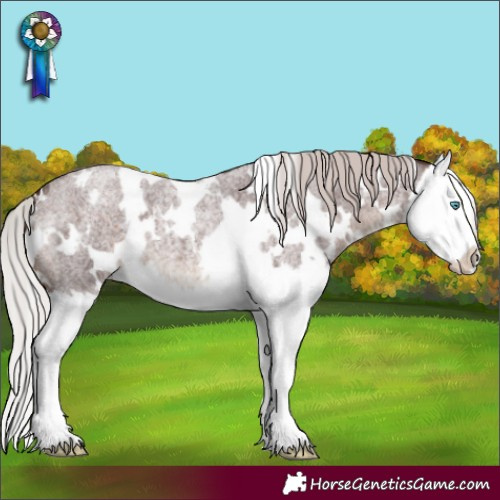 Horse Color:White Spotted Chocolate Silver Brown Roan Splash 