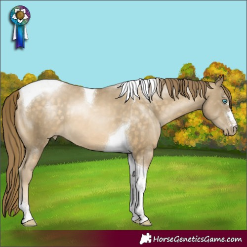 Horse Color:Buckskin Pearl Tobiano