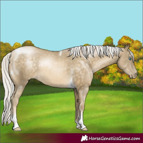 Horse Color:Silver Buckskin Pearl Tobiano 