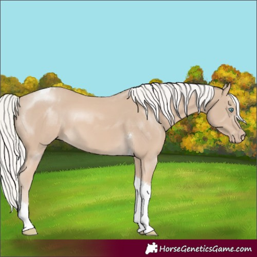 Horse Color:Silver Smoky Creme Tobiano 