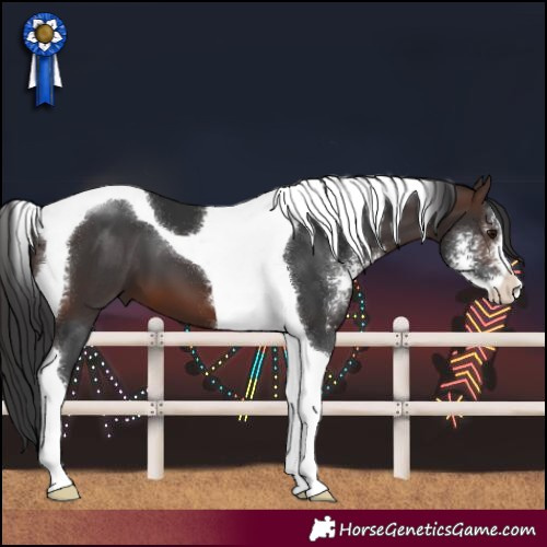 Horse Color:Brown Sabino Tobiano 
