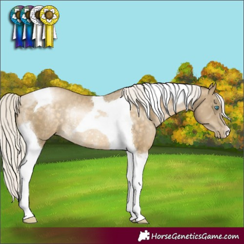 Horse Color:Silver Buckskin Pearl Tobiano Rabicano 