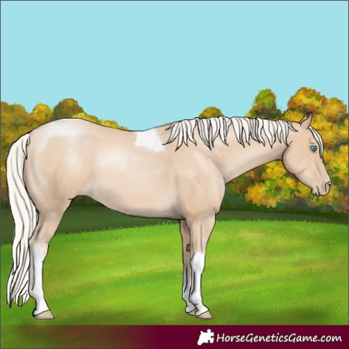 Horse Color:Silver Smoky Black Pearl Tobiano 