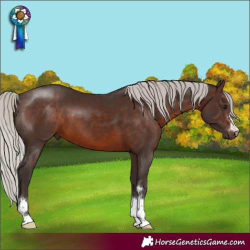 Horse Color:Silver Brown 