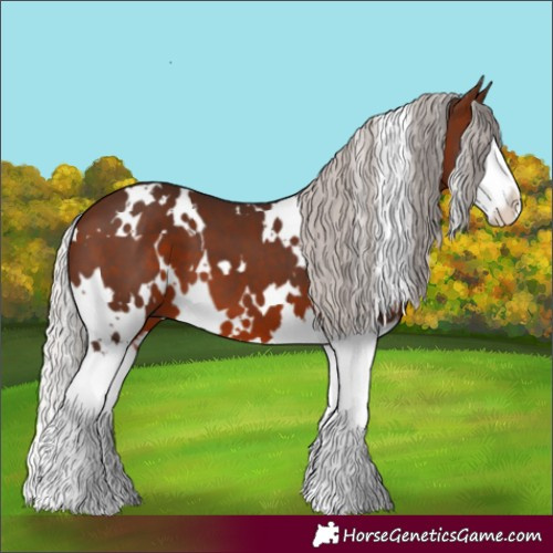 Horse Color:White Spotted Silver Brown Splash 