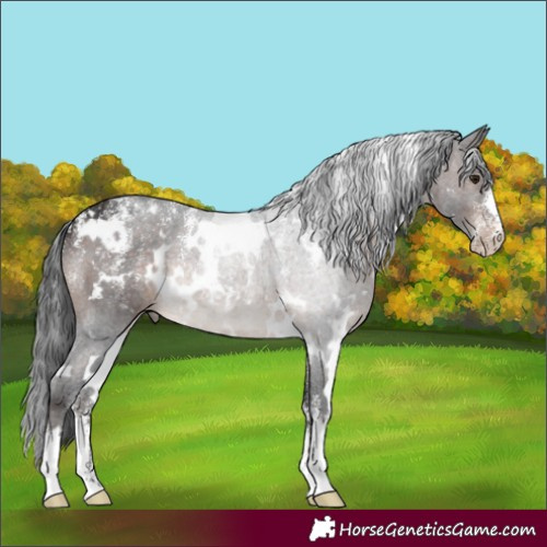 Horse Color:Powder White White Spotted Brown 