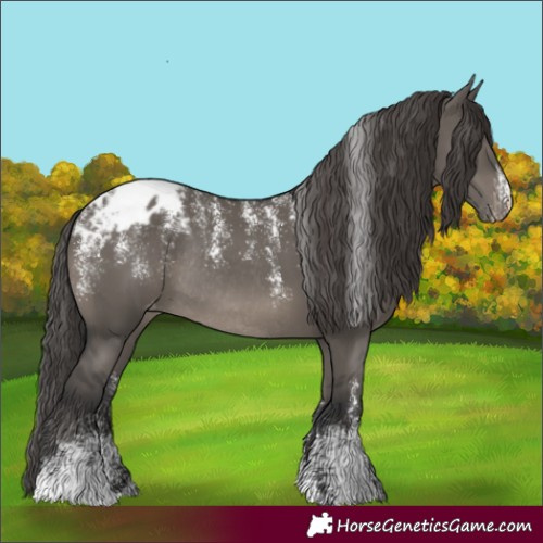 Horse Color:Powder White Grullo Appaloosa Rabicano