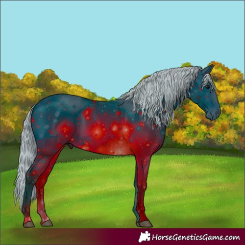 Horse Color:ERROR: UNKNOWN ANOMALY
