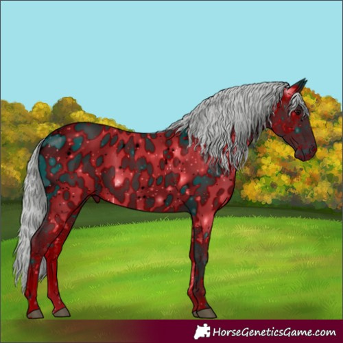 Horse Color:ERROR: UNKNOWN ANOMALY