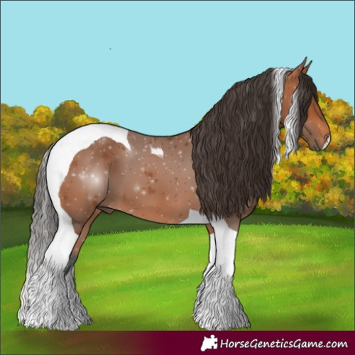 Horse Color:Bay Tobiano 