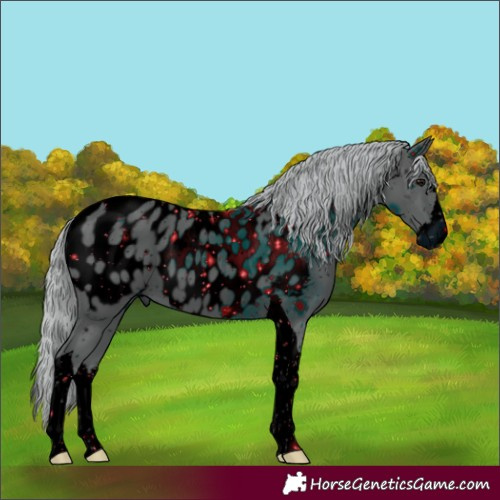 Horse Color:ERROR: UNKNOWN ANOMALY