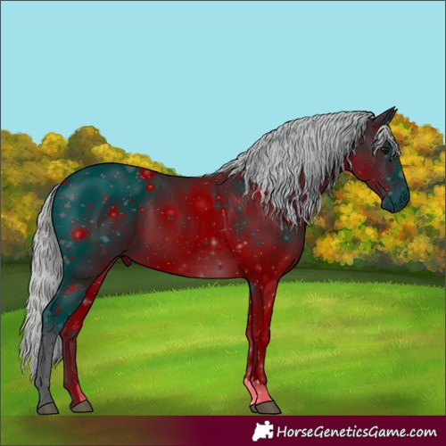 Horse Color:ERROR: UNKNOWN ANOMALY
