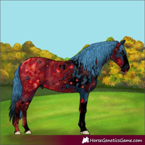Horse Color:ERROR: UNKNOWN ANOMALY