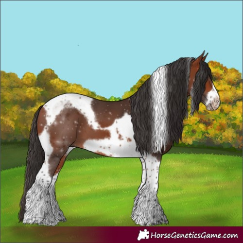 Horse Color:Bay Tobiano Frame 