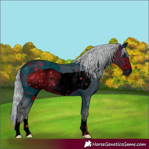 Horse Color:ERROR: UNKNOWN ANOMALY