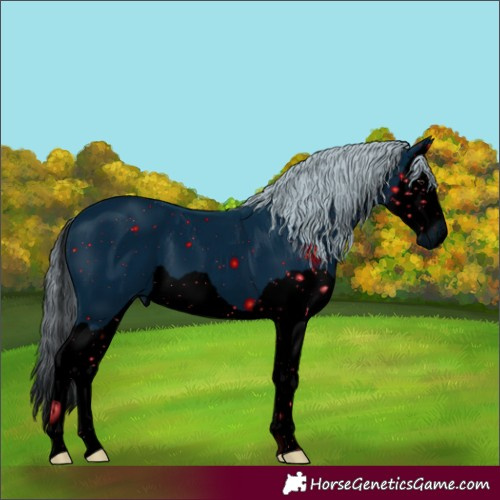 Horse Color:ERROR: UNKNOWN ANOMALY