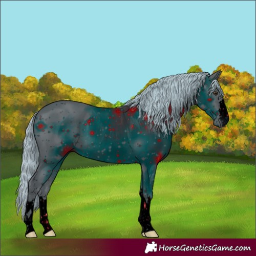 Horse Color:ERROR: UNKNOWN ANOMALY