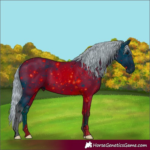 Horse Color:ERROR: UNKNOWN ANOMALY