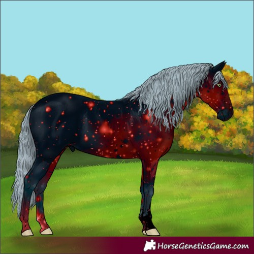 Horse Color:ERROR: UNKNOWN ANOMALY