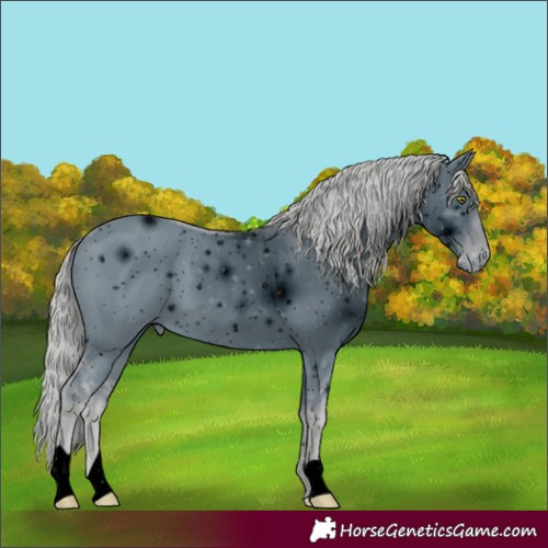 Horse Color:ERROR: UNKNOWN ANOMALY