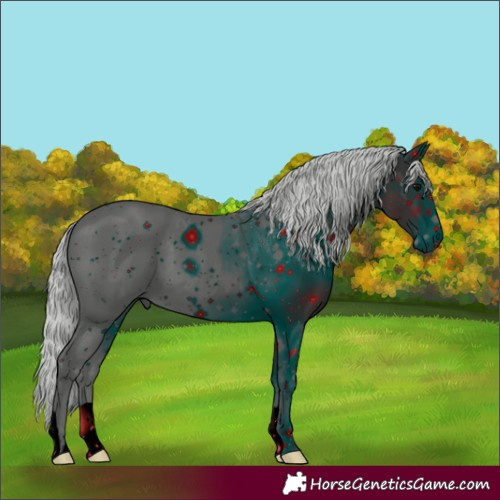 Horse Color:ERROR: UNKNOWN ANOMALY