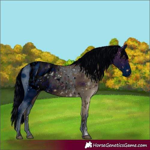 Horse Color:ERROR: UNKNOWN ANOMALY