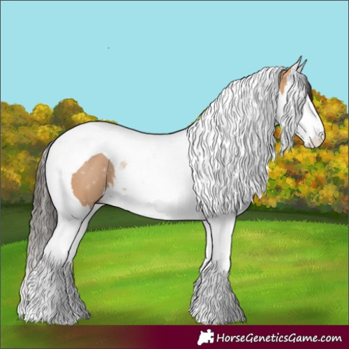 Horse Color:Bay Dun Splash Tobiano