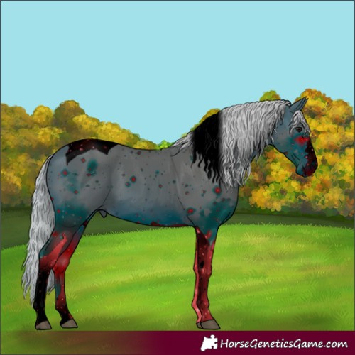 Horse Color:ERROR: UNKNOWN ANOMALY