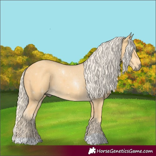 Horse Color:Palomino 
