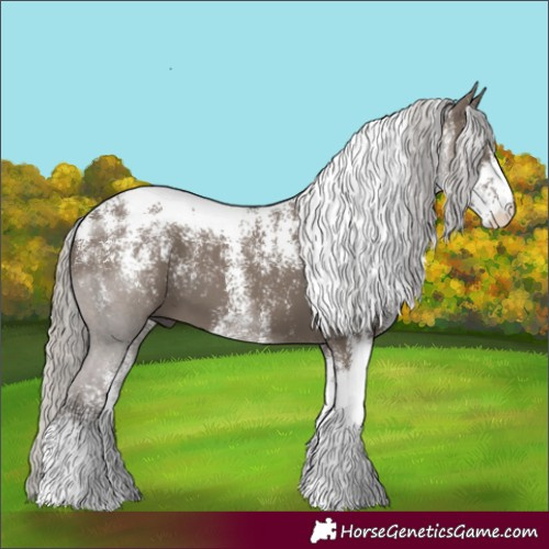 Horse Color:Powder White Silver Grullo