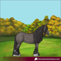 Horse Color:Smoky Grullo 
