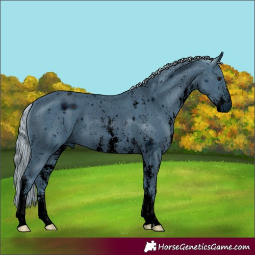 Horse Color:ERROR: UNKNOWN ANOMALY