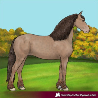 Horse Color:Classic Champagne Rabicano