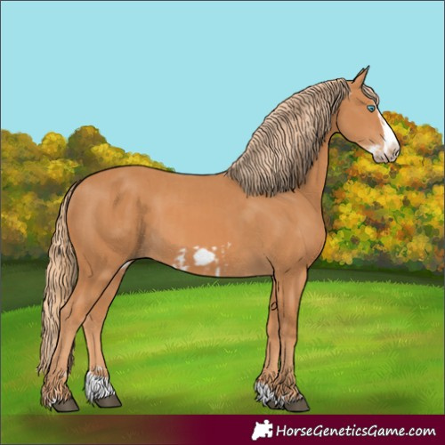 Horse Color:Chestnut Splash Frame  and Chestnut Splash Frame 
