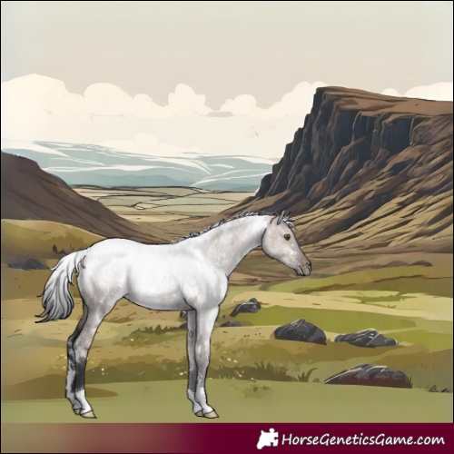 Horse Color:White Spotted Brown Roan Dun Rabicano 