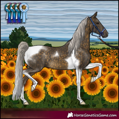 Horse Color:Silver Buckskin Tobiano 