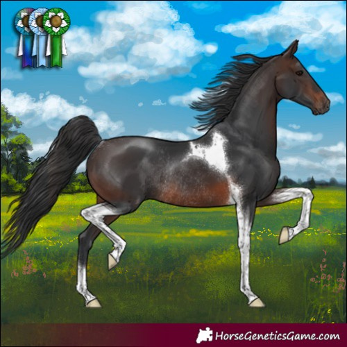 Horse Color:Brown Tobiano Rabicano 