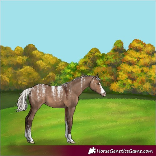 Horse Color:Powder White Silver Brown Dun