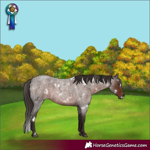 Horse Color:White Spotted Liver Red Roan Rabicano