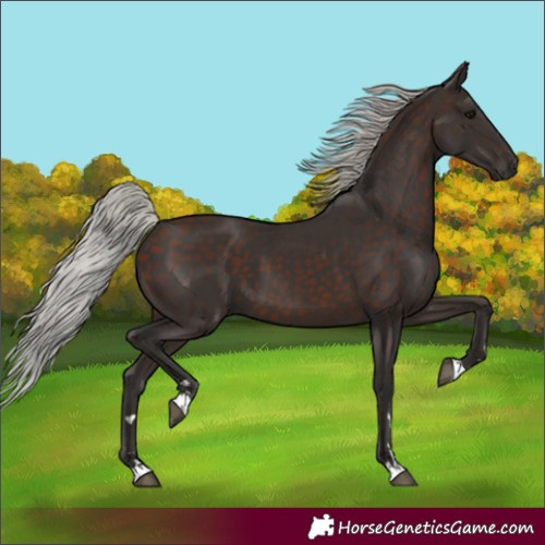 Horse Color:Silver Brown 