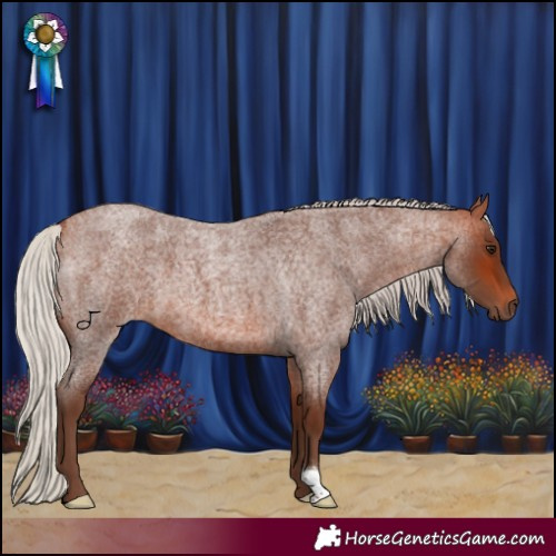 Horse Color:Silver Bay Roan 