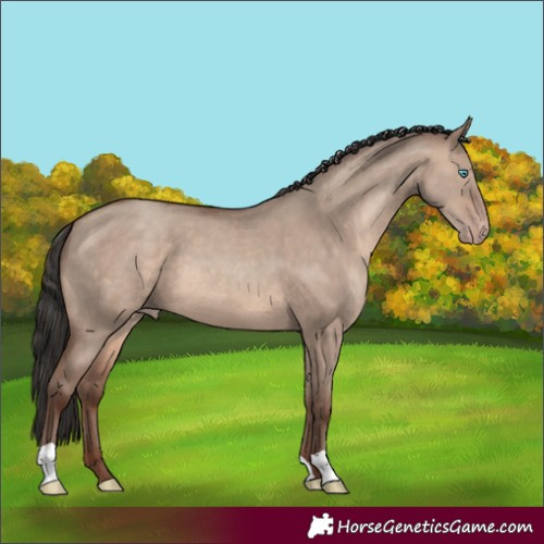 Horse Color:Sable Champagne Dun