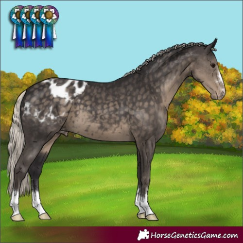 Horse Color:Silver Smoky Black Varnish