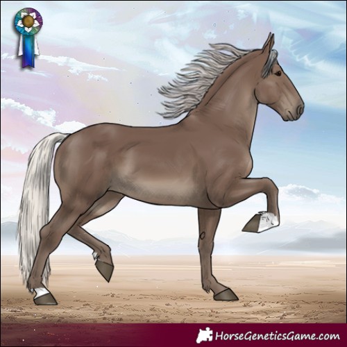 Horse Color:Silver Black