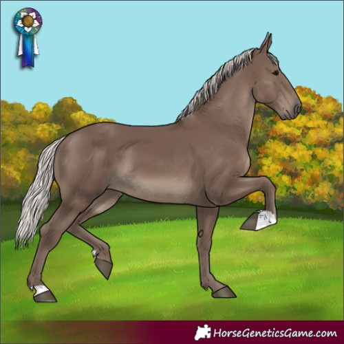 Horse Color:Silver Black 