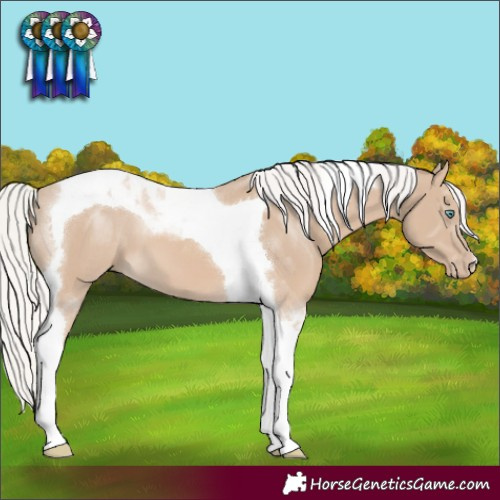 Horse Color:Silver Smoky Creme Tobiano 