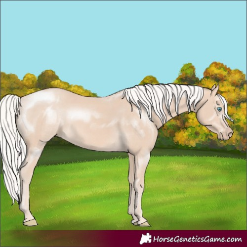 Horse Color:Silver Perlino