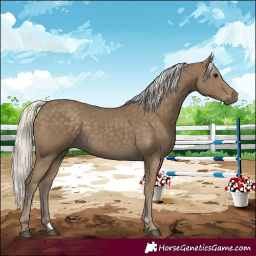 Horse Color:Silver Smoky Black