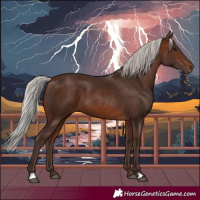 Horse Color:Silver Brown